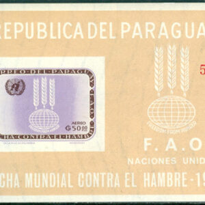 Paraguay – M BL  41 Världskampanjen mot Hungern 1963, Block **