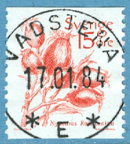 F 1243 Lyx VADSTENA 17.01.84