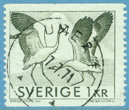F  621 Nära prakt UMEÅ 1  7.7.71
