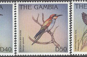 Gambia – M 2681-2683 Fåglar bla Biätare, serie 3 kpl **