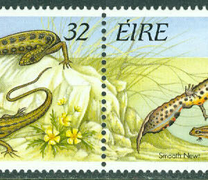 Irland – M  909-912 Kräldjur bla Grodor, 4-strip kpl **
