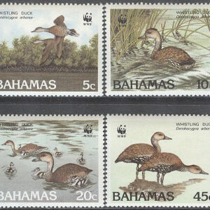 Bahamas – M  672-675 Fåglar – Karibisk visseland – Naturskydd – WWF, serie 4 kpl **