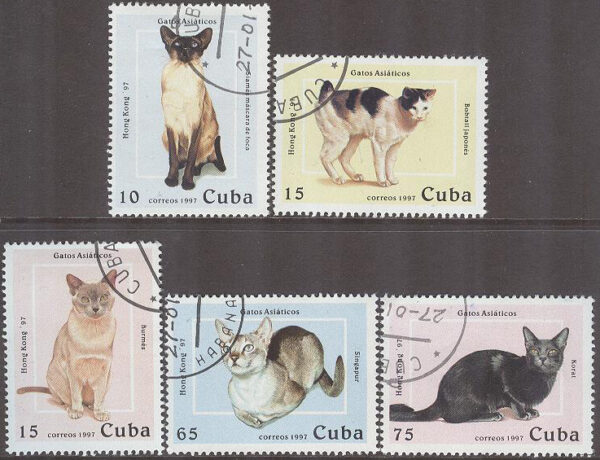 Kuba - M 3988-3992 Katter - Asiatiska raser bla Singapuran, 5 kpl