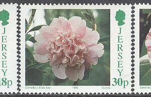 Jersey – M  688, 690, 692 Blommor – Kamelia bla Bella Romana, 3 olika **