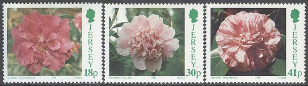 Jersey - M  688, 690, 692 Blommor - Kamelia bla Bella Romana, 3 olika **