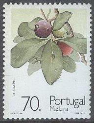 Madeira – M  151 A Tropiska Frukter – Guave, märke **
