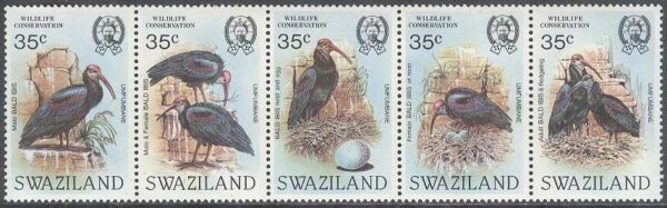 Swaziland - M  449-453 Fåglar - Skallig ibis, 5-strip kpl **