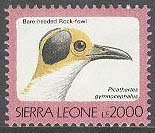 Sierra Leone – M 1916 I Fåglar – Gulskallig kråktrast, märke **
