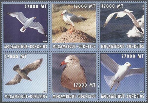 Mocambique - M 2668-2673 Fåglar - Måsar, 6-Block kpl **