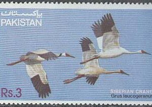 Pakistan – M  593 Fauna VIII – Fåglar – Snötrana, 1 kpl **