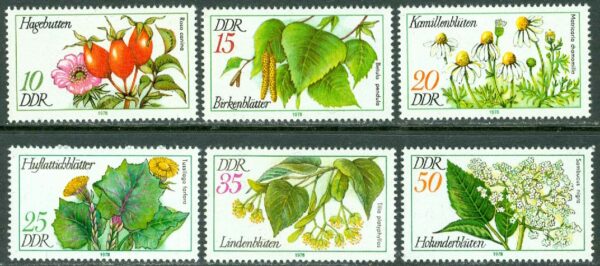 DDR - M 2287-2292 Medicinalväxter, 6 kpl **