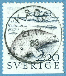 F 1497 Prakt/lyx KÅGE 21.11.88