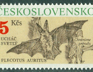 Tjeckoslovakien – M 3066 Däggdjur, klångörad fladdermus, 5 Kr **