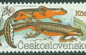 Tjeckoslovakien – M 3010 Kräldjur, Karpatsalamander, 5 kr **
