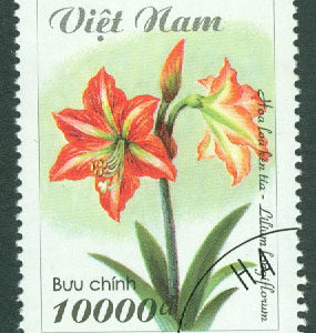 Vietnam – M 2844 Blommor, trumpetlilja, 10000 D stpl