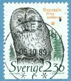 F 1542 Prakt LULEÅ 1P 09.10.89