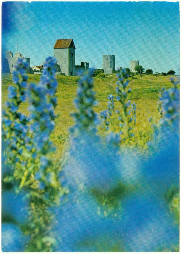 Visby. Ringmuren vid Östergravar.