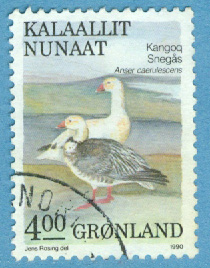 Grönland – F  199 Fåglar IV, snögäss, 4.00 kr stpl