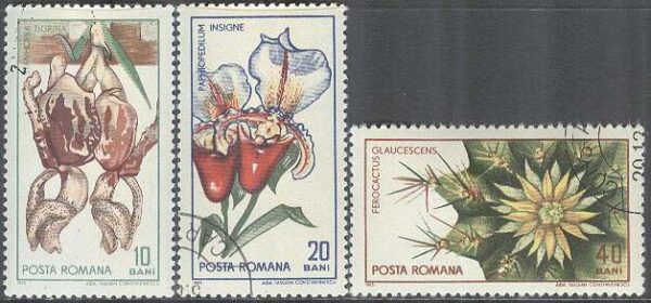 Rumänien - M 2443-2444, 2446 Botanisk Trädgård i Cluj 45 år - Blommor, 3 olika