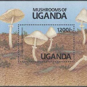 Uganda – M BL 146 Svampar – Knölveckskivling, Block **