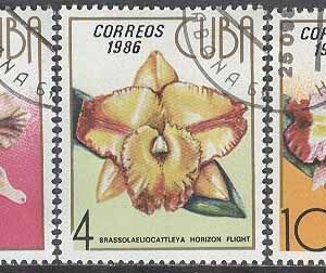Kuba – M 3036-3037, 3039 Blommor – Orkidéer, 3 olika