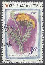 Kroatien – M  384 Inhemska Blommor – Centaurea ragusina, märke