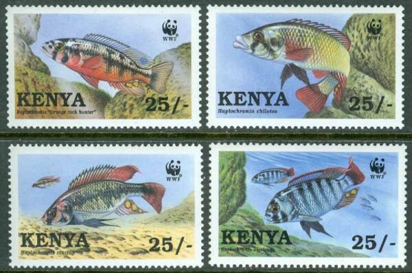 Kenya - M  699-702 Fiskar - Haplochromis - Naturskydd - WWF, 4 kpl **