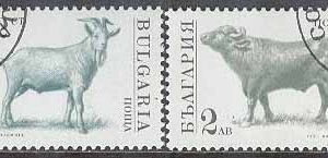 Bulgarien – M 3881-3884 A Husdjur – Höna – Get – Oxe – Kalkon, 4 kpl
