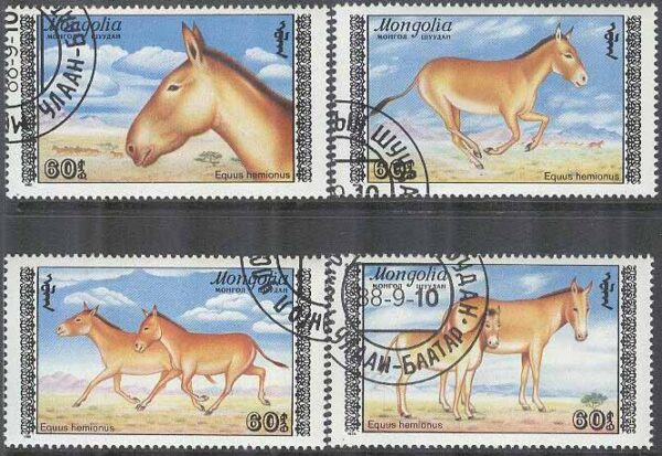 Mongoliet - M 1995-1998 Hästar - Hästdjur - Halvåsna, 4 kpl