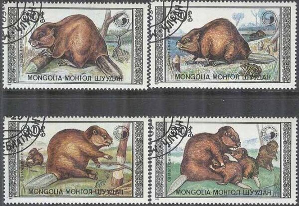 Mongoliet - M 2021-2024 Däggdjur - Bäver, 4 kpl