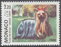 Monaco – M 1905 Internat Hundutställning 1988 – Yorkshire-Terrier, 1 kpl **