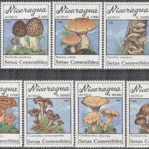 Nicaragua – M 3001-3007 Svampar bla Rund toppmurkla, 7 kpl **
