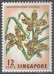 Singapore – M   60 Blommor – Orkidéer, 12 C **