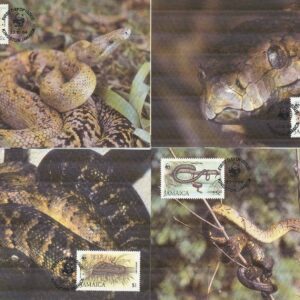 Jamaika – Maxikort 1984-10-22 – Kräldjur – Boaorm – Naturskydd – WWF, 4 kpl