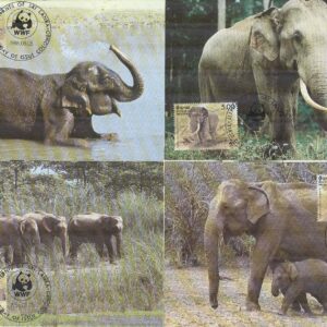 Sri Lanka – Maxikort 1986-08-05 – Ceylon Elefant – Naturskydd – WWF, 4 kpl