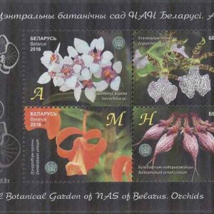 Belarus – M BL 132 Blommor i Botanisk trädgård – Orkidéer, Block **