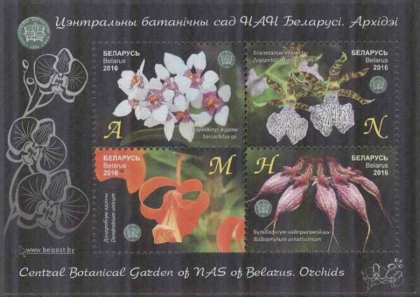 Belarus - M BL 132 Blommor i Botanisk trädgård - Orkidéer, Block **