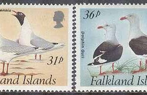Falkland Islands – M  575-578 Fåglar bla Kelptrut, 4 kpl **