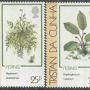 Tristan da Cunha – M  473-476 Växter – Ormbunkar, 4 kpl **
