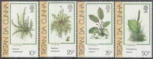 Tristan da Cunha - M  473-476 Växter - Ormbunkar, 4 kpl **