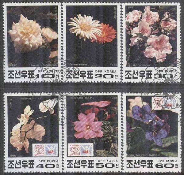 Nordkorea - M 3241-3246 Blommor bla Knölbegonia - Utställ, 6 kpl stpl