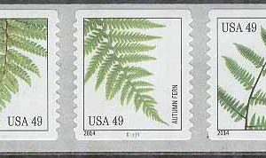 USA – M 5041-5045 Växter – Ormbunkar bla Amerikanskt träjon, 5-strip kpl **
