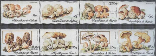 Guinea - M  759-766 A Svampar bla Kantarell, 8 kpl stpl