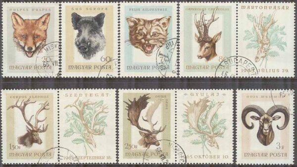 Ungern - M 2255-2261 A Jakttroféer bl.a. 1 vildsvin och räv, 7 kpl + Zf stpl
