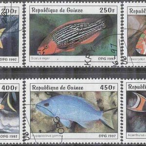 Guinea – M 1645-1650 Fiskar bla Papegojfisk, 6 kpl stpl