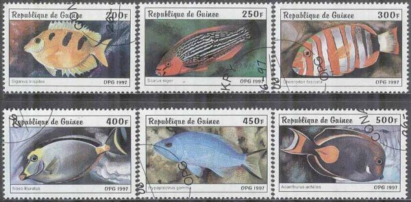 Guinea - M 1645-1650 Fiskar bla Papegojfisk, 6 kpl stpl