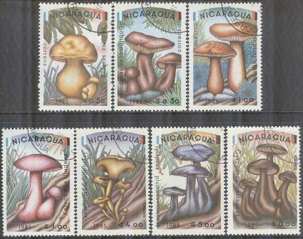 Nicaragua - M 2561-2567 Svampar bla Kastanjesopp, 7 kpl stpl