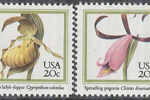 USA – M 1683-1686 Blommor – Orkidéer, 4 kpl **