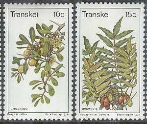 Transkei – M   41-44 Vildväxter bla Oleander & Vide, 4 kpl **