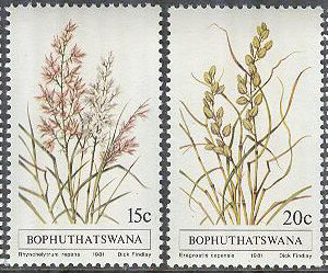 Bophuthatswana – M   80-83 Olika Gräs I bla Kängurugräs, 4 kpl **
